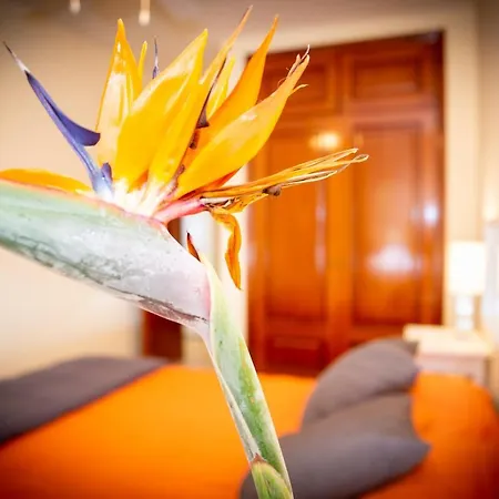 Ola Blanca Apartment *